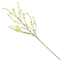 ����� �������������, L35 W4 H114 ��