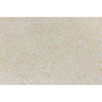    Joy Home, 137 , 20 , 