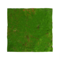  , ,  1   1 , , , Greengo