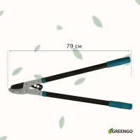  , 31 (79 ),  ,   , , Greengo