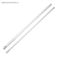   Ecola, G13, T8, 20 , 6500 , 220 ,  , 121328 