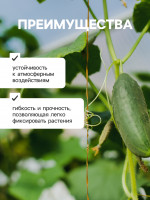    , 50 , ,  , Greengo