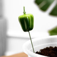 ������� ��� ���������� Take It Easy �������, ����� 10 ��., � �����, �����, 3 ��, ����� 25 ��