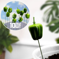 ������� ��� ���������� Take It Easy �������, ����� 10 ��., � �����, �����, 3 ��, ����� 25 ��