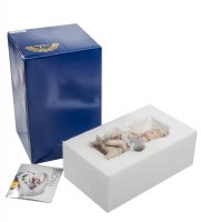 Cms-19/24 ������� ��������� �������� (pavone)