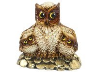 ������� 6677