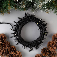   10 , Ip44,  , 100 Led,   , 8 , 220 