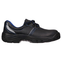    Prosafe Basic 23,  ,  41