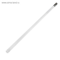   Rev Led, 8, G13, 18 , 6500 , 1200 ,  