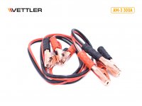   300 Vettler (am-3)