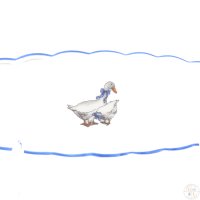 ����� Dubi ���� 21,7*6 ��