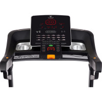    Titanium Masters Physiotech Tlc