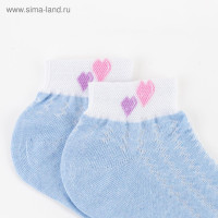   Collorista,  ,  36-37 (23 )