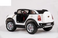 Mini Beachcomber (  ) 