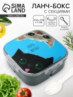  -      , 17.8 17.8 7 