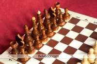 ������� ���������������� Ch405