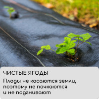  ,  , 10 1.1 ,  100 / , , Greengo,  50%