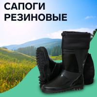   -10, , , ,  43 (277)