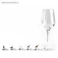     Cool Wine, 6 