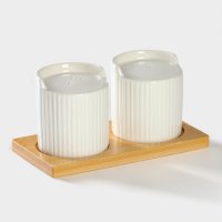         Bellatenero . , 2 :  100 ,  100 , 