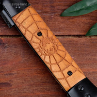   " - "  - 6513,  - , 23 