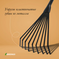  , , , 9 ,  38 , ,  , Greengo