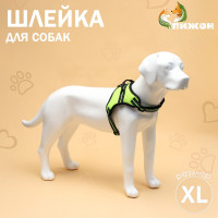   7  ,  Xl,  74-92 ,  28-47.5 , 