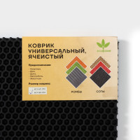   , 60x80 , Eva,  