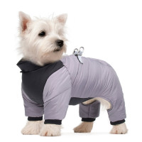  , , M ( 27,  29,  38 ,  5-8 ), 