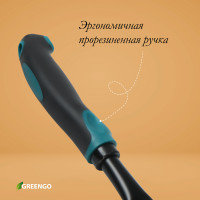 ���� �������, ����� 30 ��, ������������ ������������� �����, Greengo