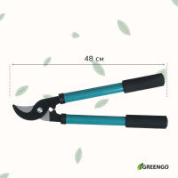  , 14,6 (37 ),     , Greengo