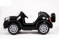 Mini Beachcomber (  ) -