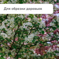  , 26.4 37 (67.5 94 ), ,   , , Greengo