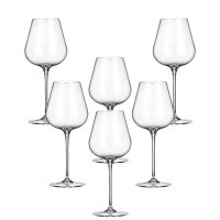     Crystalite Bohemia Amy 460 (6 )