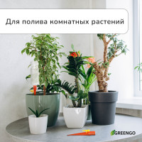      , ,  , ,  15 , , Greengo