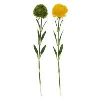 ������ ������������� �������, L8 W8 H50,5 ��, 2�.