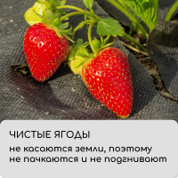  ,  , 5 0.8 ,  80 / ,   -, , Greengo,  30%