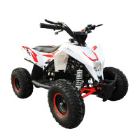 ������� ���������� ���������� Motax Gekkon 90cc 1+1 (������), ����-�������