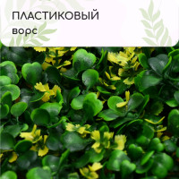  , 60   40 ,  , Greengo