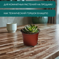   , 500 , D=11 , H=8 ,  , , Greengo