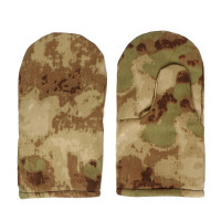 ������� �������� ��������� ������, ��������, ���� ����