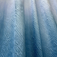    Dasch 180180 , Bt-829988, , 