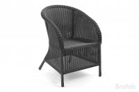   Brafab Magda Grey,  