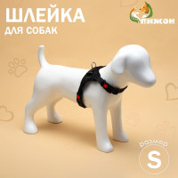  7  ,  S,  44-55 ,  5-9 , 