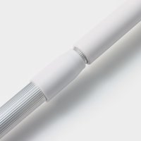 ����� ��� ����� ���� Raccoon, ����������� �������, ��� ������� �� ���������� � ����������