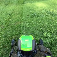    46  Greenworks 80v, e,