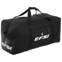   Efsi 3