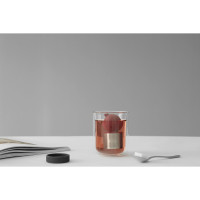      Viva Scandinavia Infusion