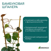 �������, 45 20 1 ��, ������, �����������, Greengo