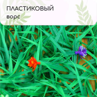  , 25 25 ,  , Greengo